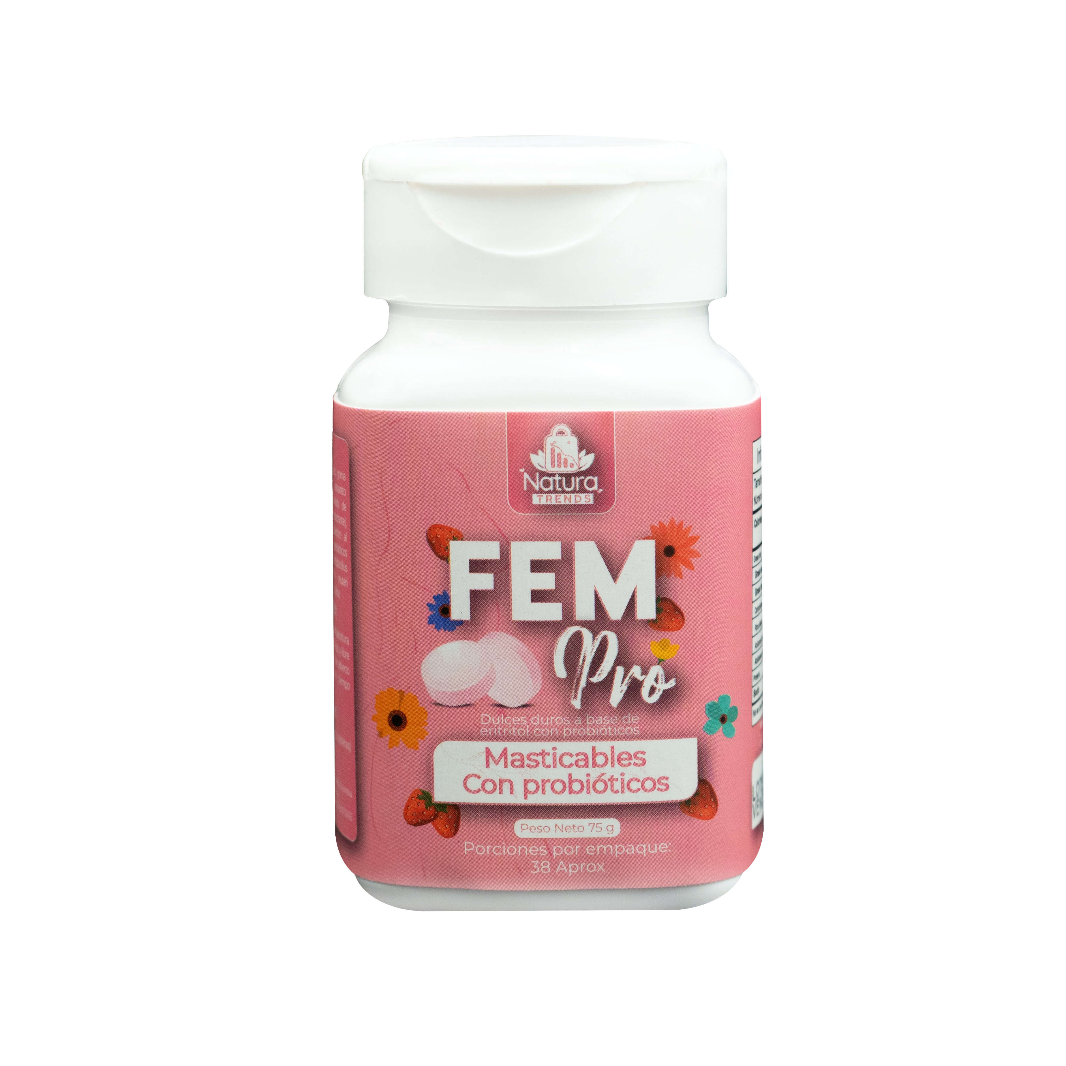 Fem Pro Logo